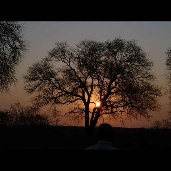 Meet your Posher, Cindy - Picture 1 of 1